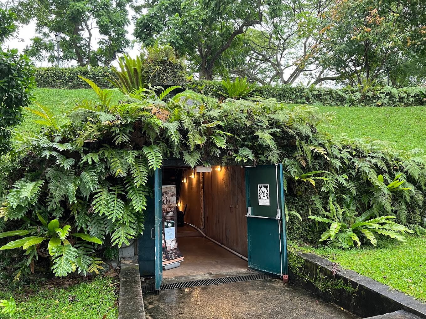 🏰 A Hill of Endless Stories