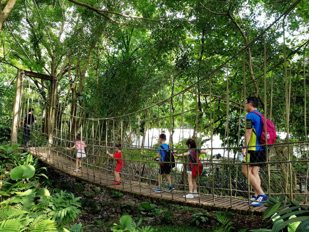 Singapore Botanic Gardens Highlights You Shouldn’t Miss