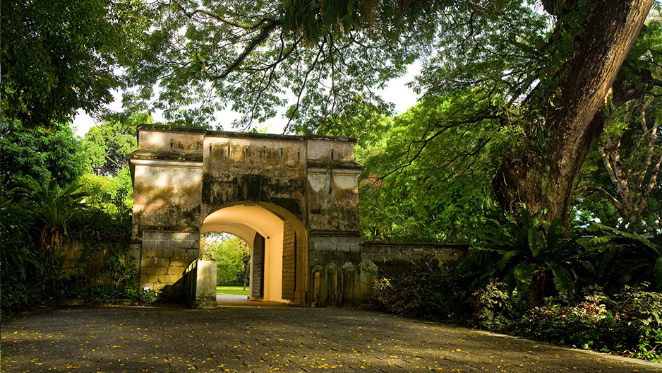 🌿 An Urban Oasis with a Story to Tell