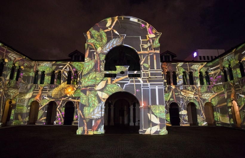 🌟 Plan Your Visit