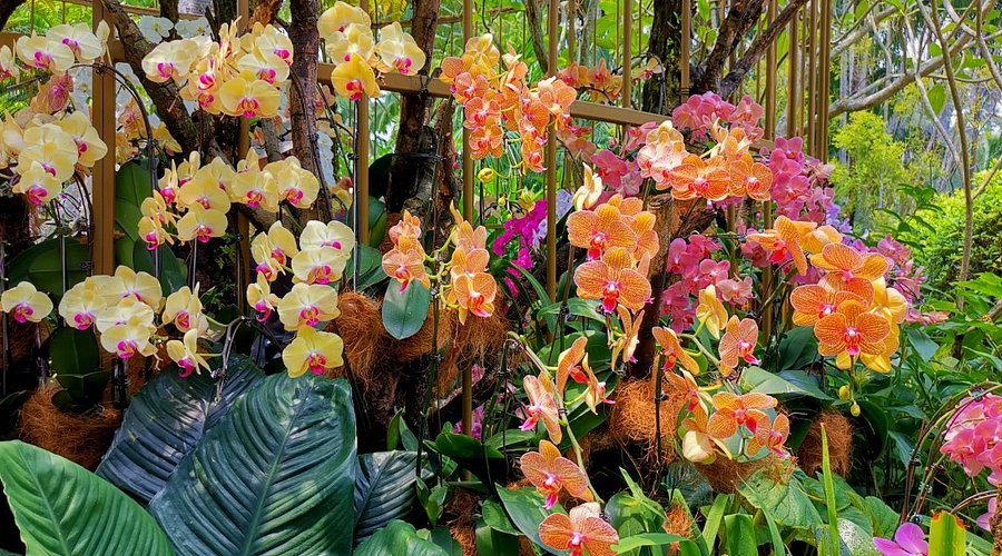 A World Heritage Treasure