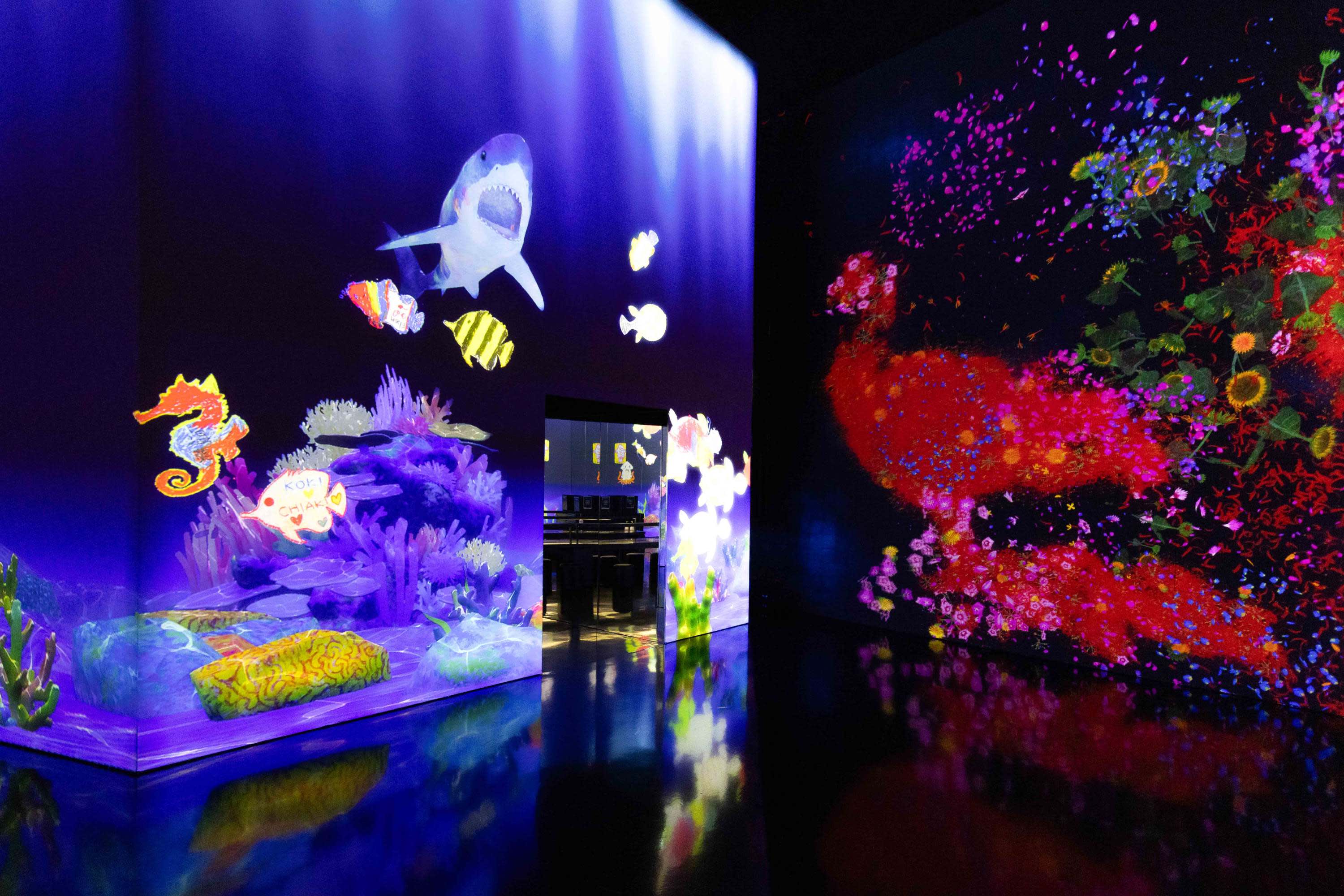 🚀 Your Adventure Starts Here